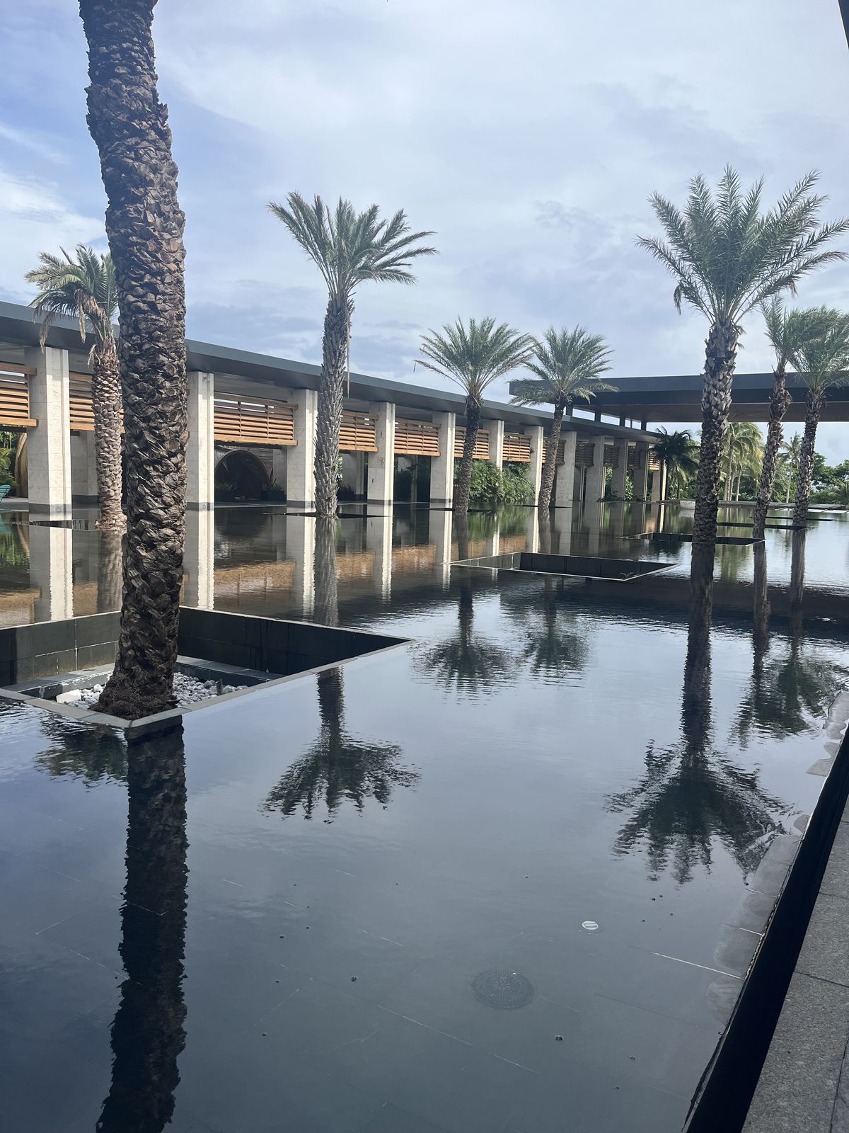 Palm trees reflected in a long still pool