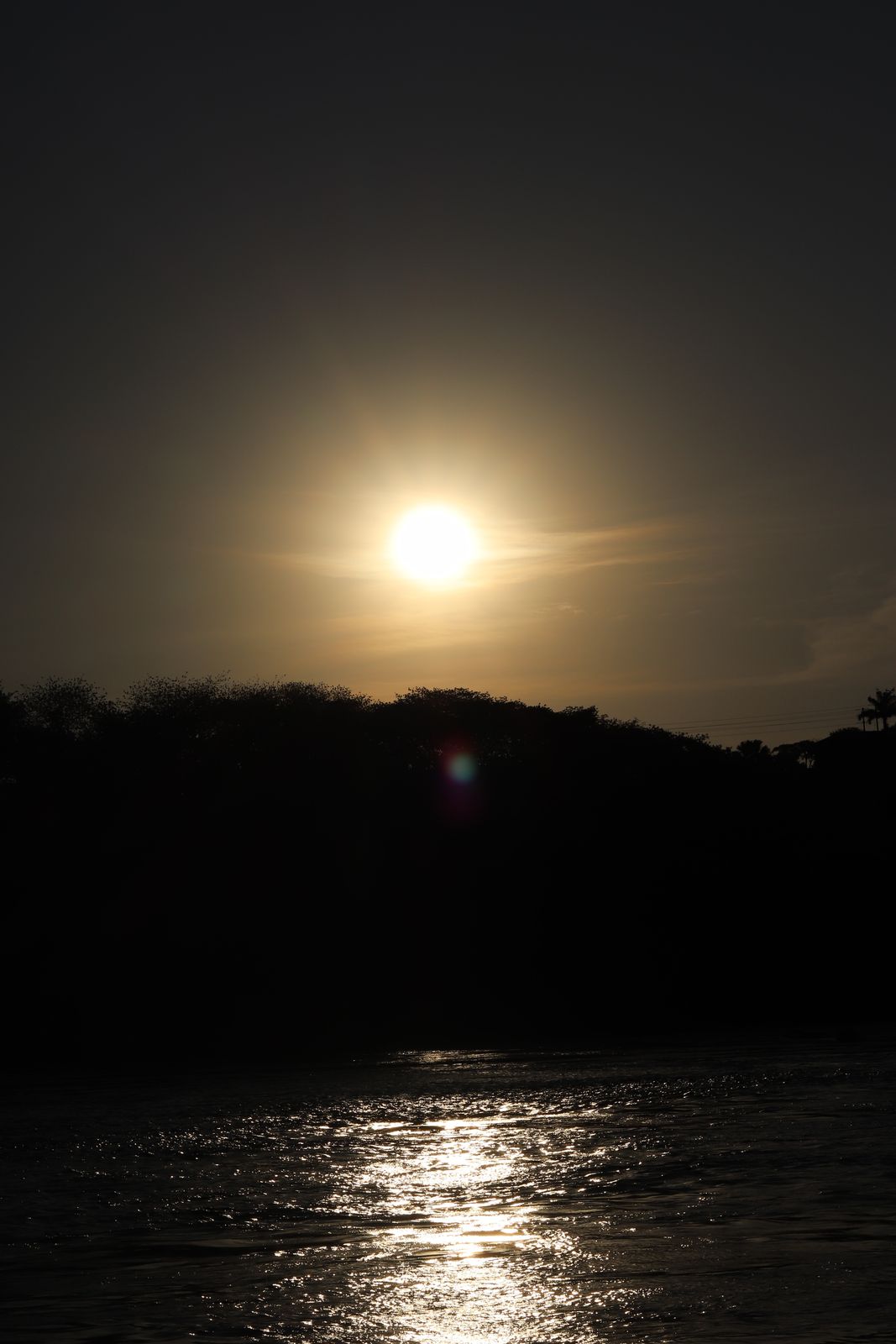 The sun setting over dark water and a line of trees